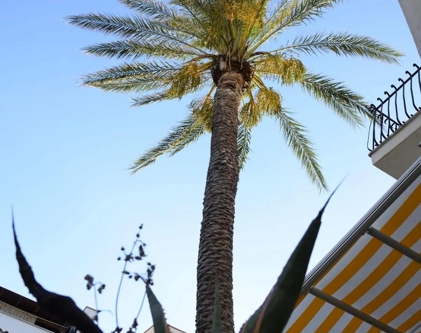 Casa Vacanza La Palma One Marinella Di Selinunte One 0*,  意大利